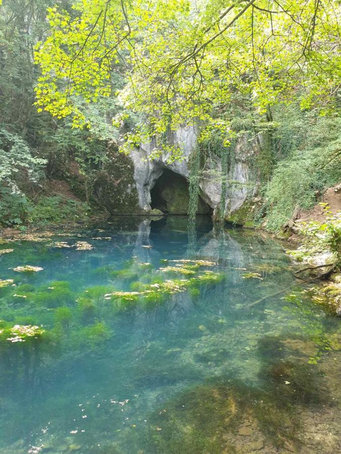 Vila Vera Borsko Jezero Eksteriør bilde